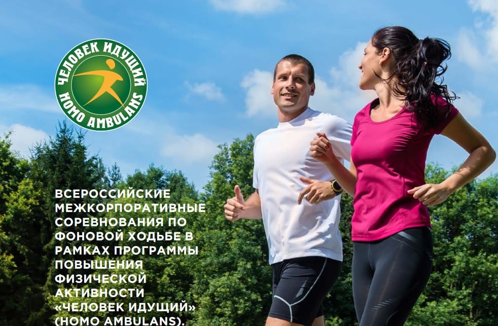 256416342 1086219895481432 1110266946885190142 n