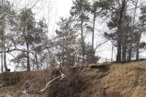 59552575_454655405304554_8523373289085599744_n